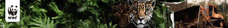 WWF: Rettet den Amazonas